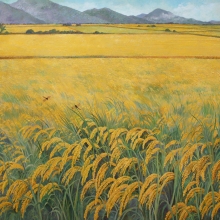 金色稻禾-大美無言藝術空間